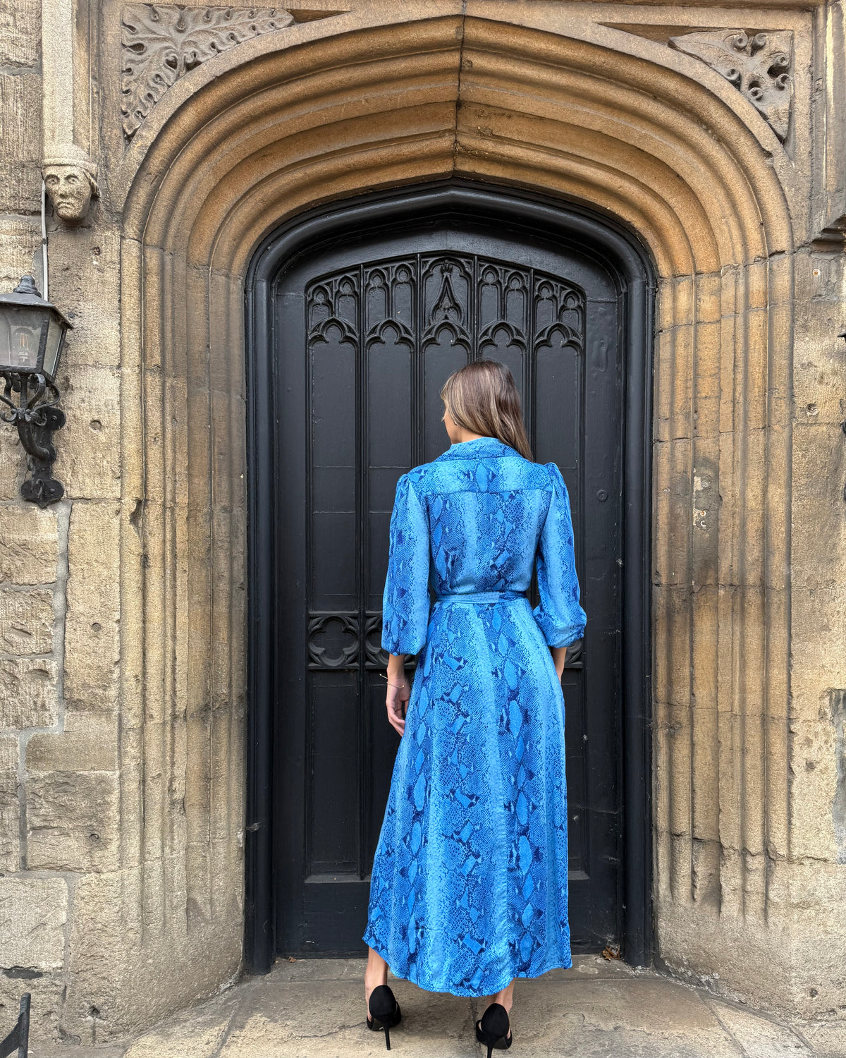 Simone Dress - Insignia Blue Snakeskin