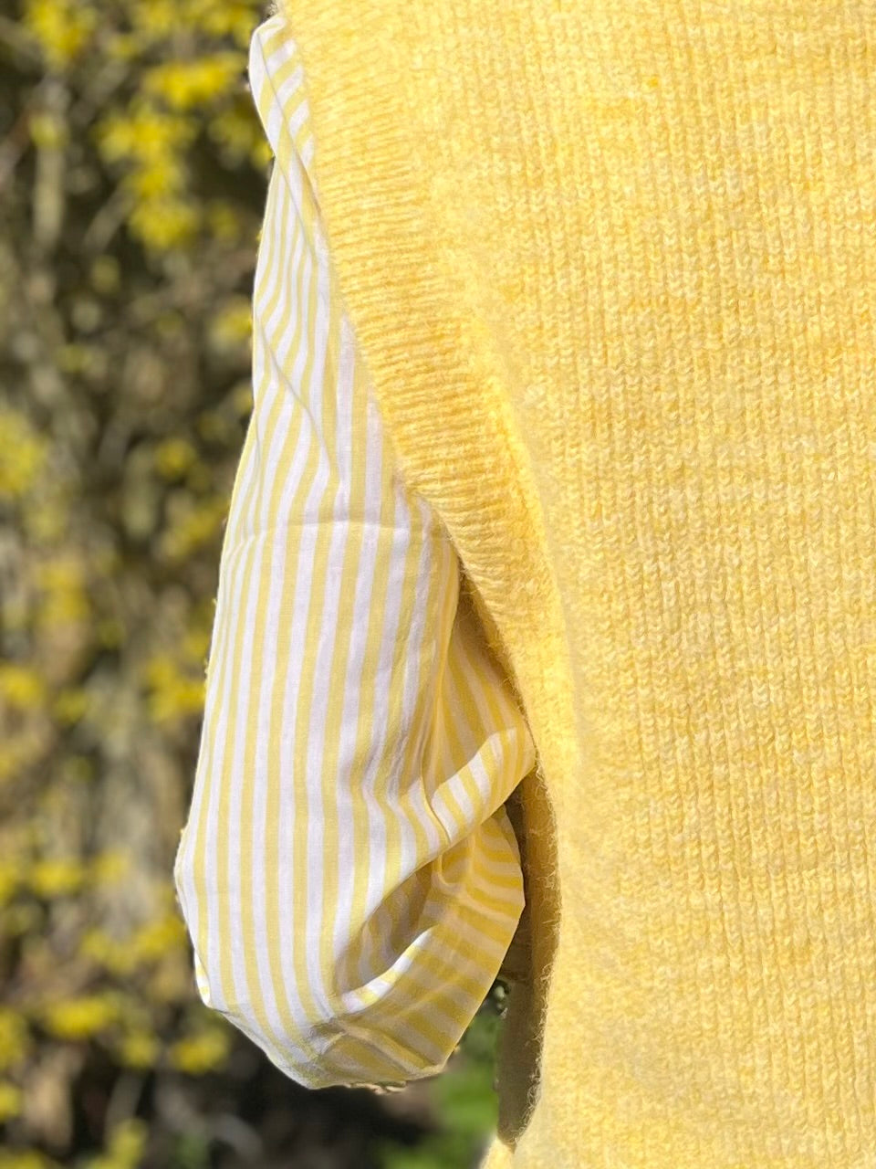 Solene - Yellow