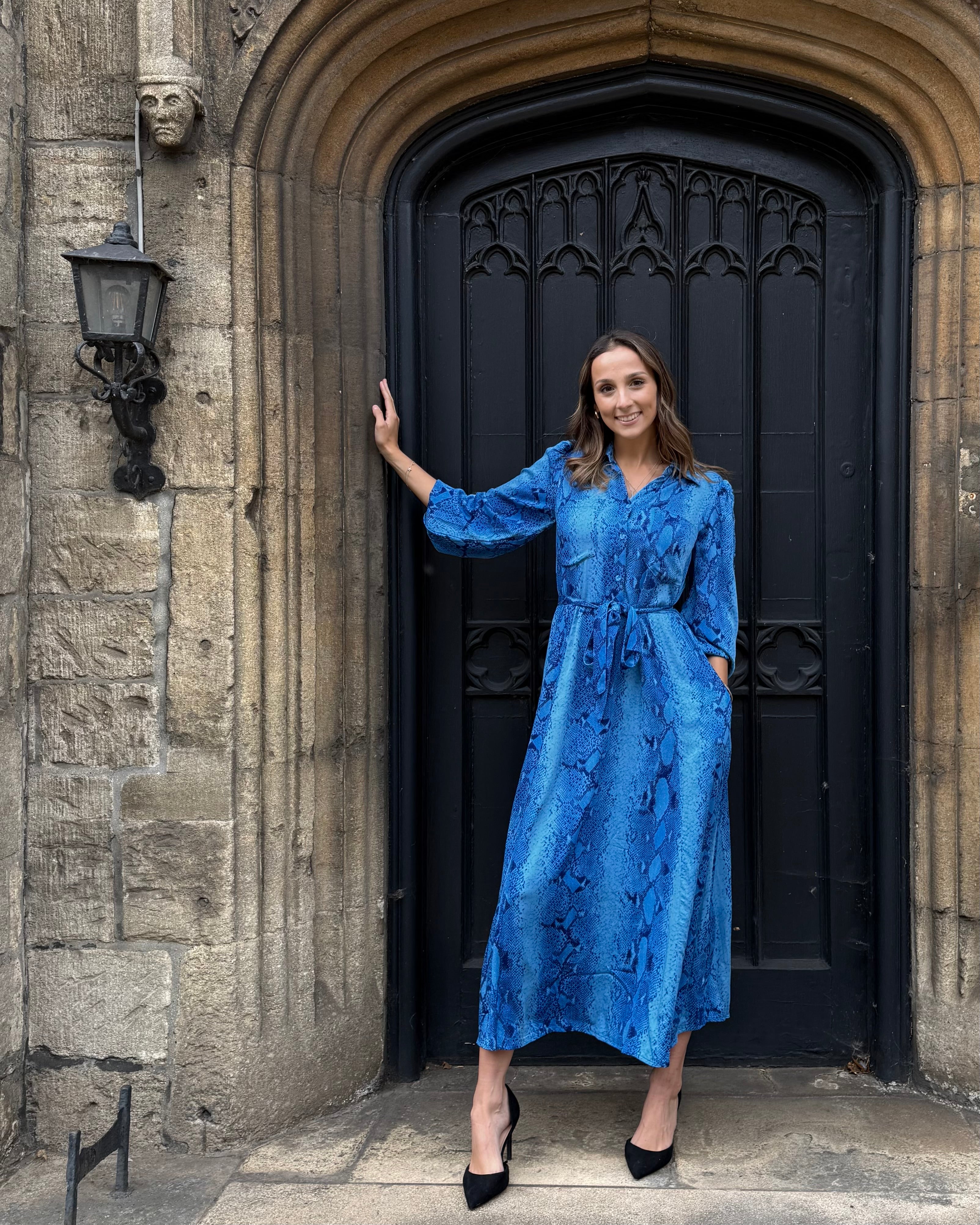 Simone Dress - Insignia Blue Snakeskin
