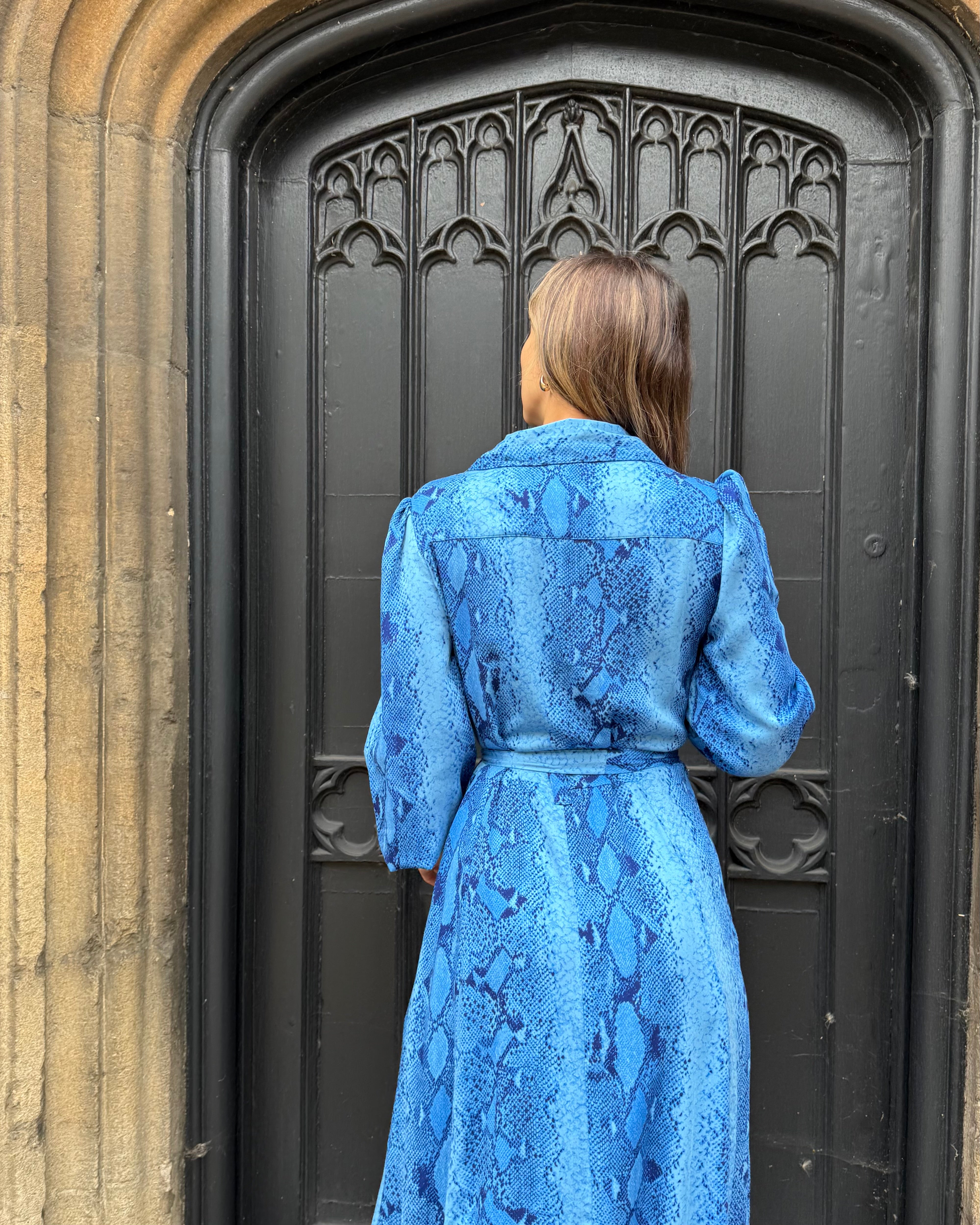 Simone Dress - Insignia Blue Snakeskin