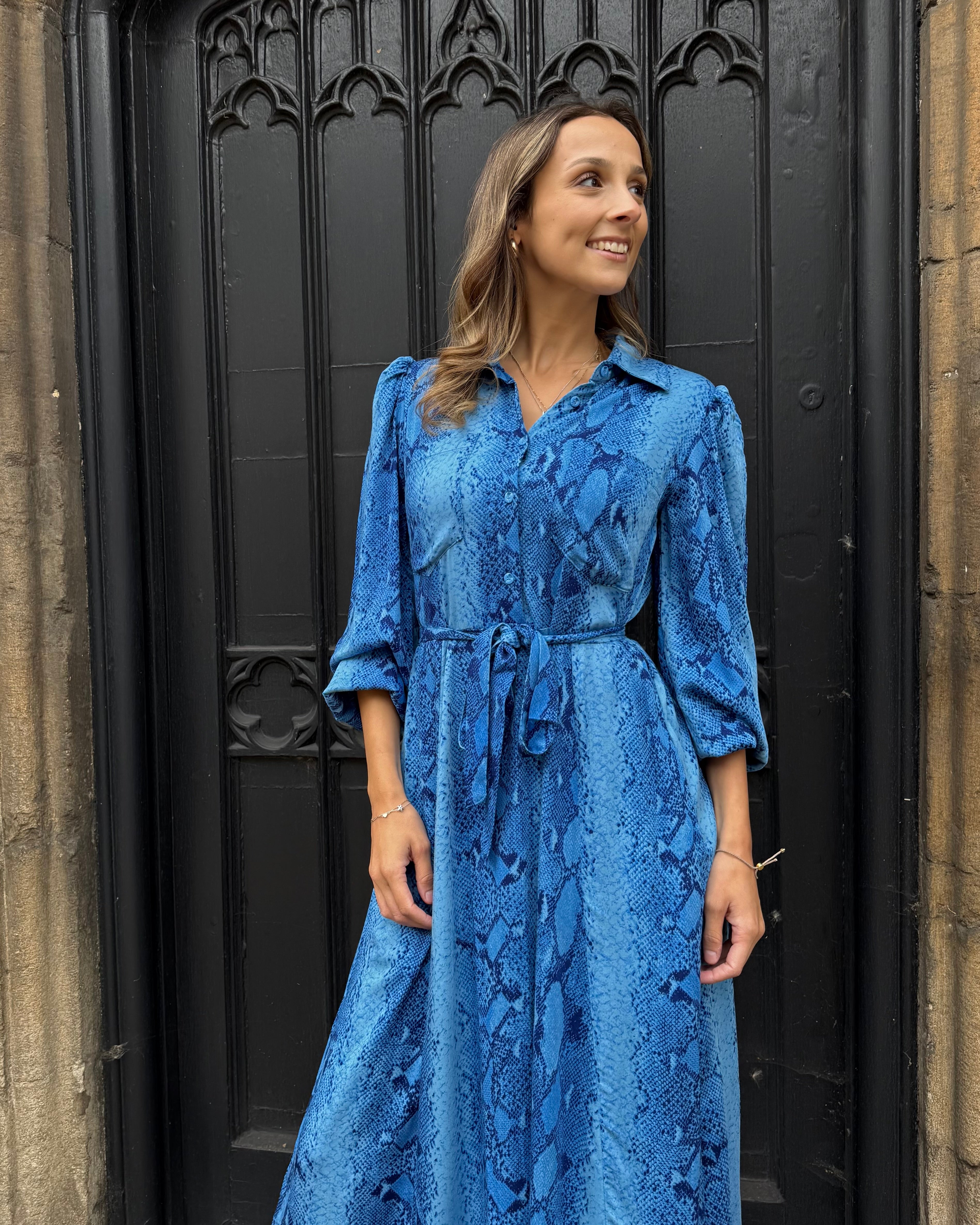 Simone Dress - Insignia Blue Snakeskin