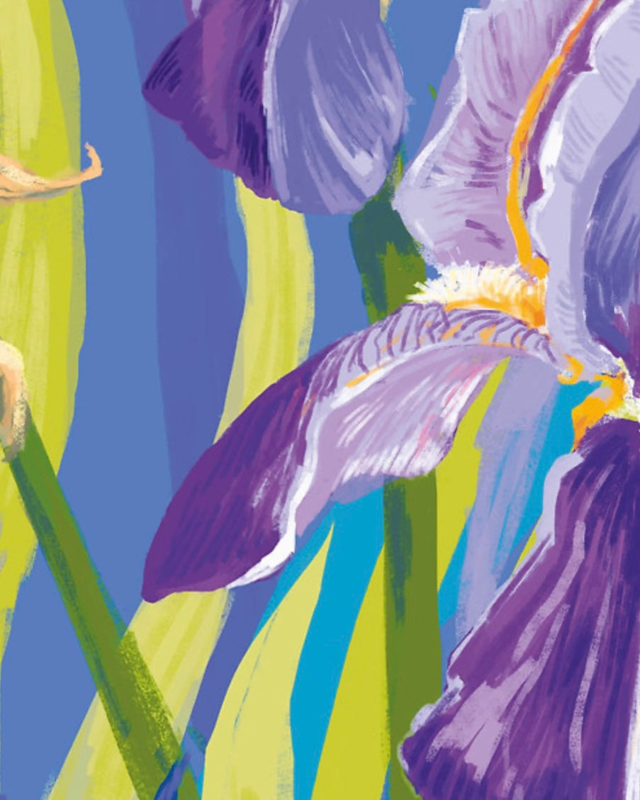 Stephanie Stilwell Greeting Cards