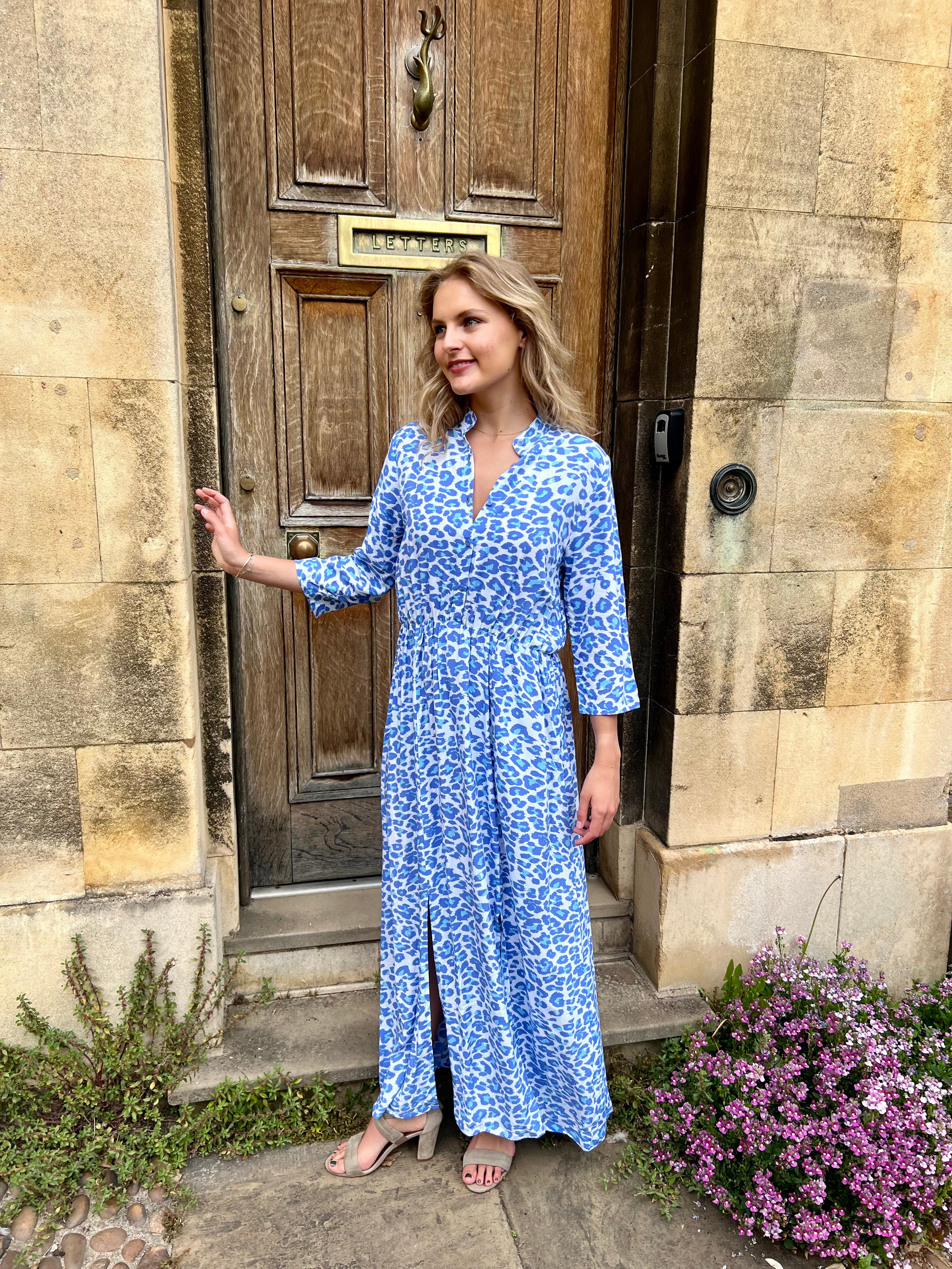 Harlow Dress - Alaskan Blue Leopard