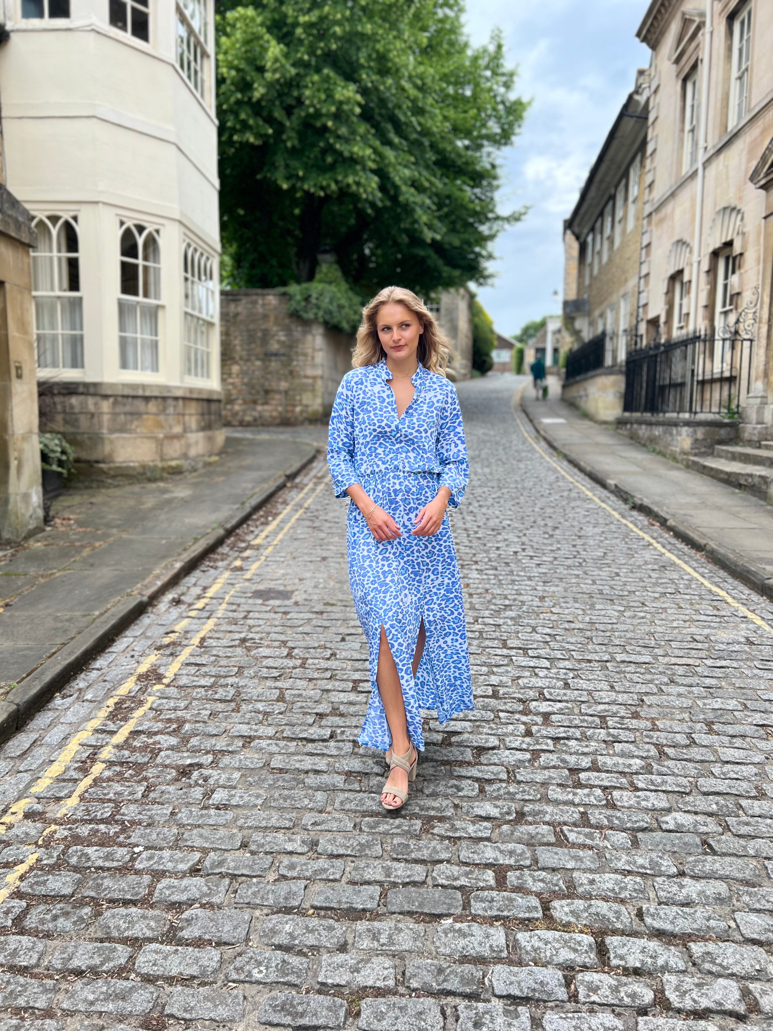 Harlow Dress - Alaskan Blue Leopard