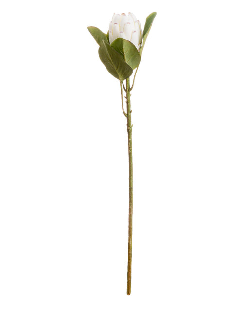 White Protea Faux Flower - White