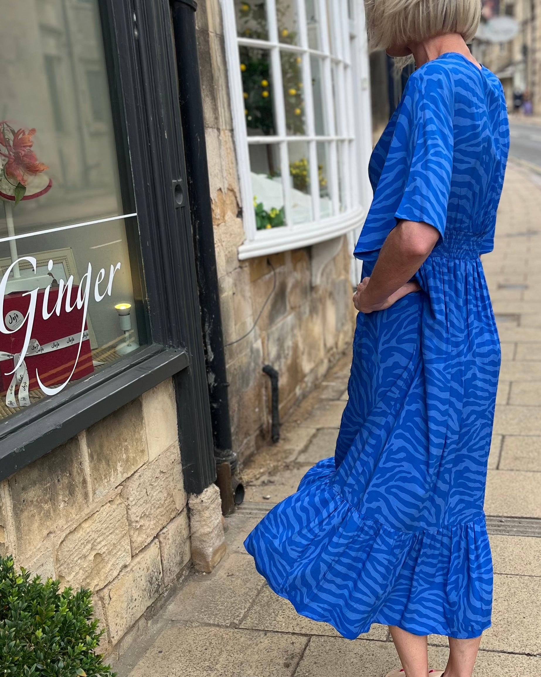 Willa - Swedish Blue Zebra