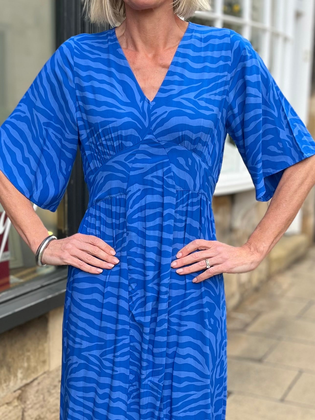 Willa - Swedish Blue Zebra