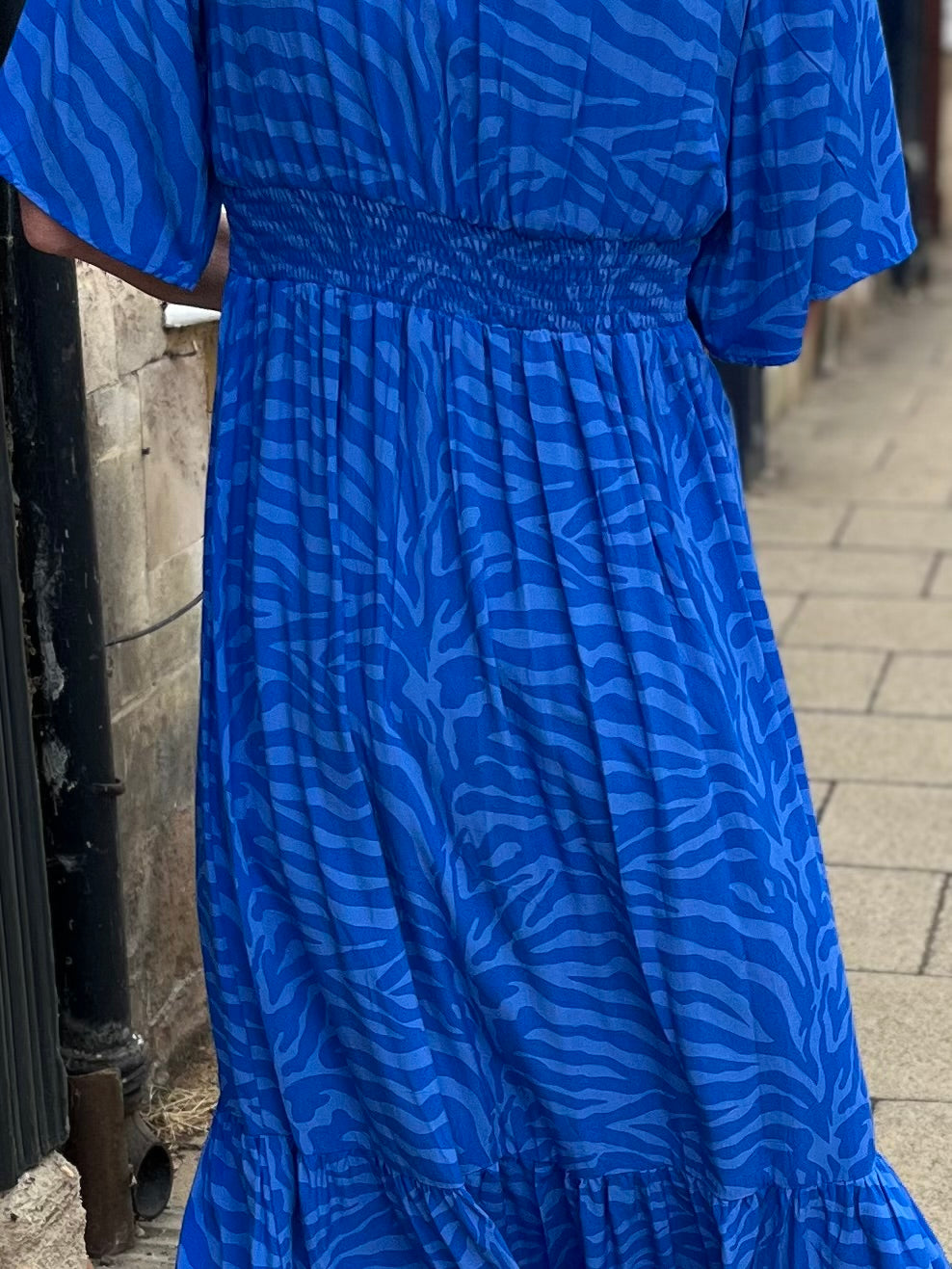 Willa - Swedish Blue Zebra