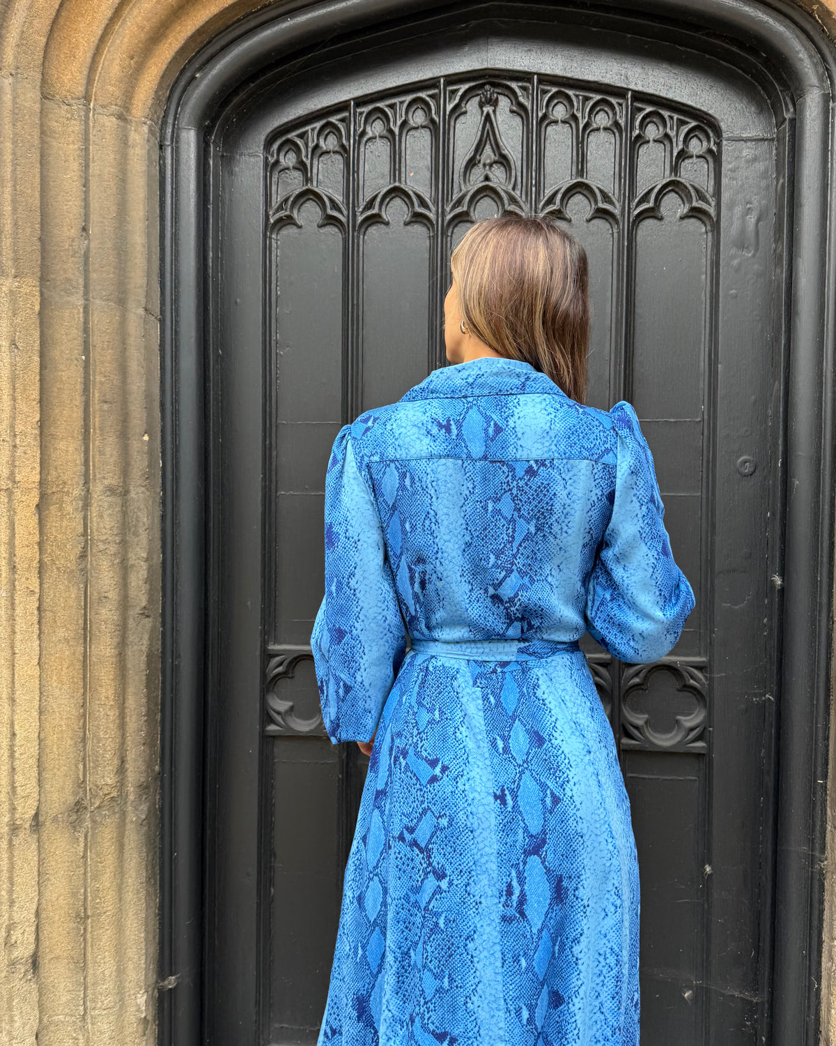 Simone Dress - Insignia Blue Snakeskin