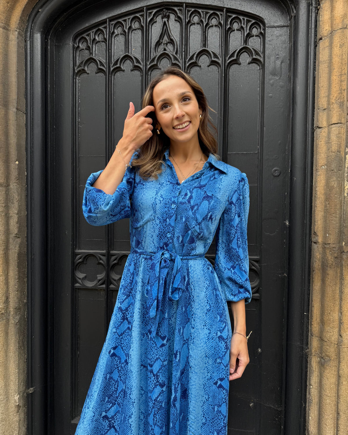 Simone Dress - Insignia Blue Snakeskin
