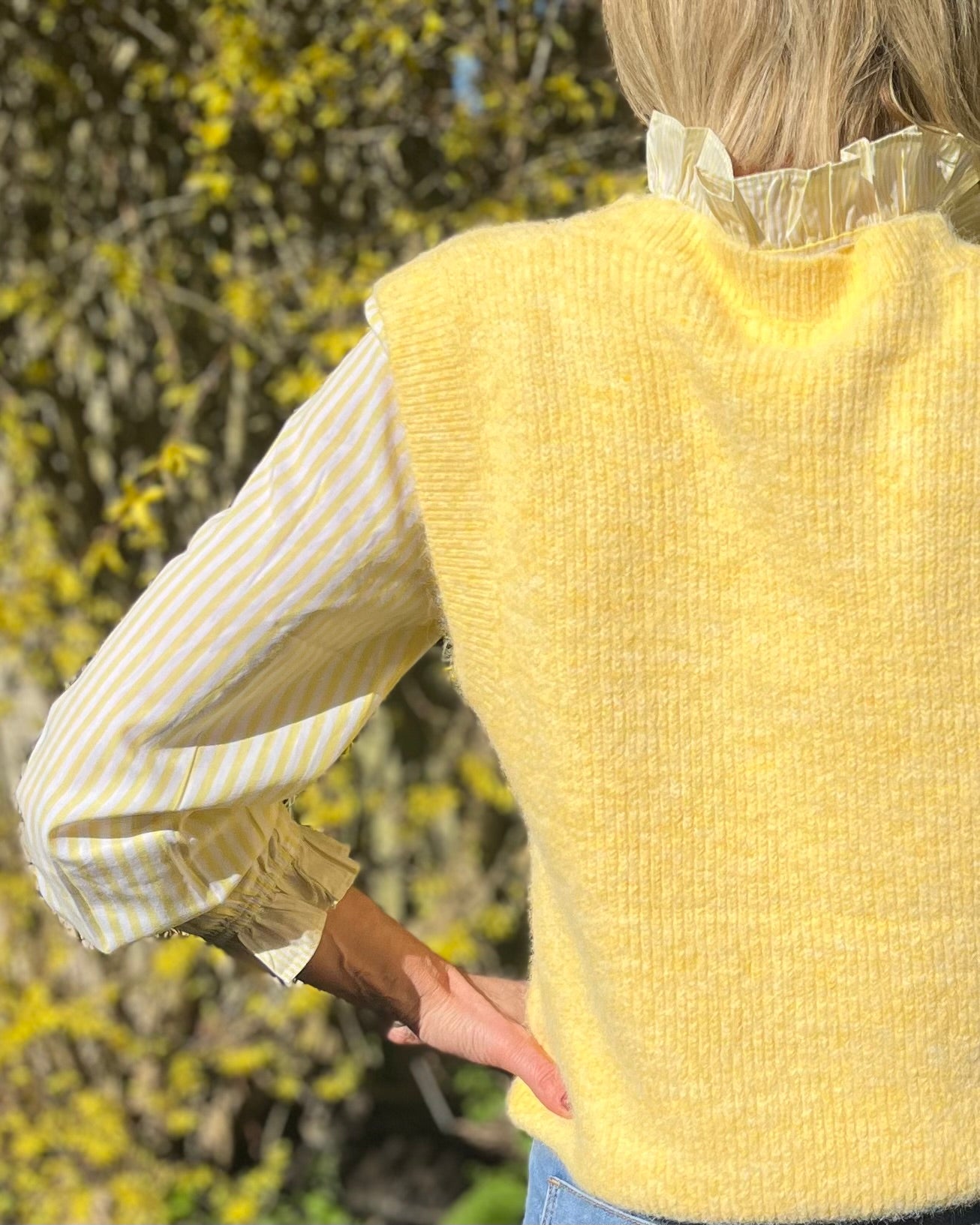 Solene - Yellow