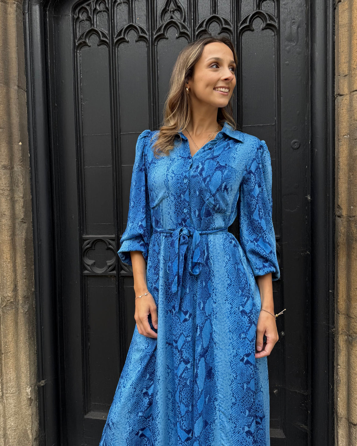 Simone Dress - Insignia Blue Snakeskin