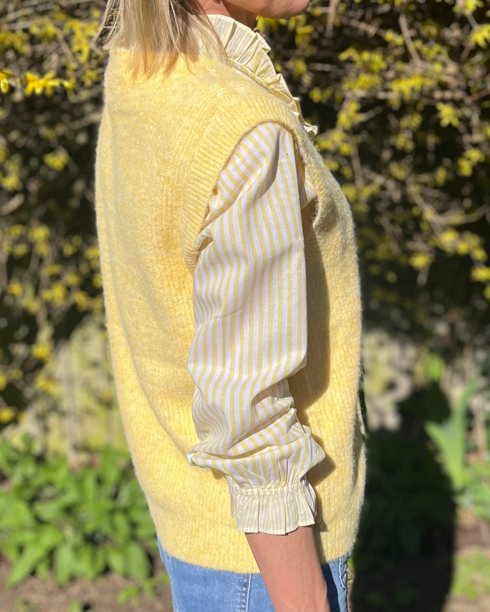 Solene - Yellow