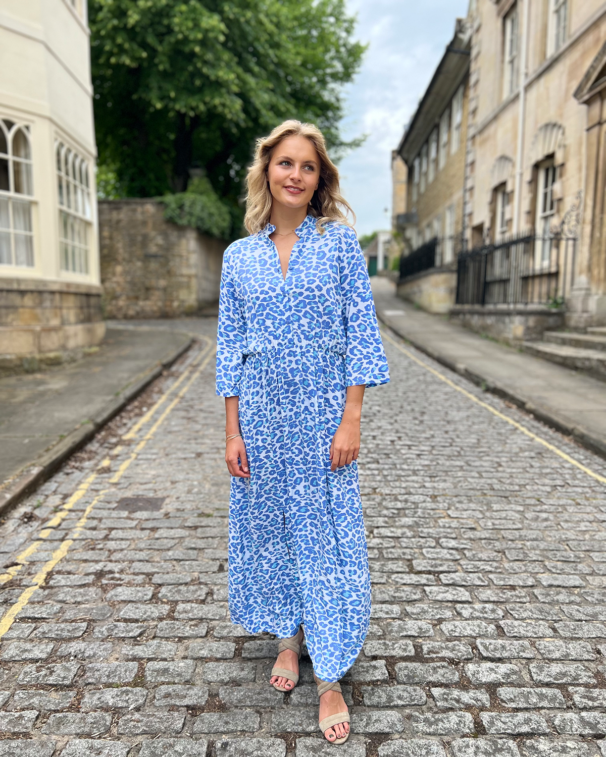 Harlow Dress - Alaskan Blue Leopard