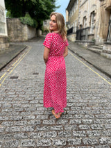 Sloane Dress - Raspberry Net