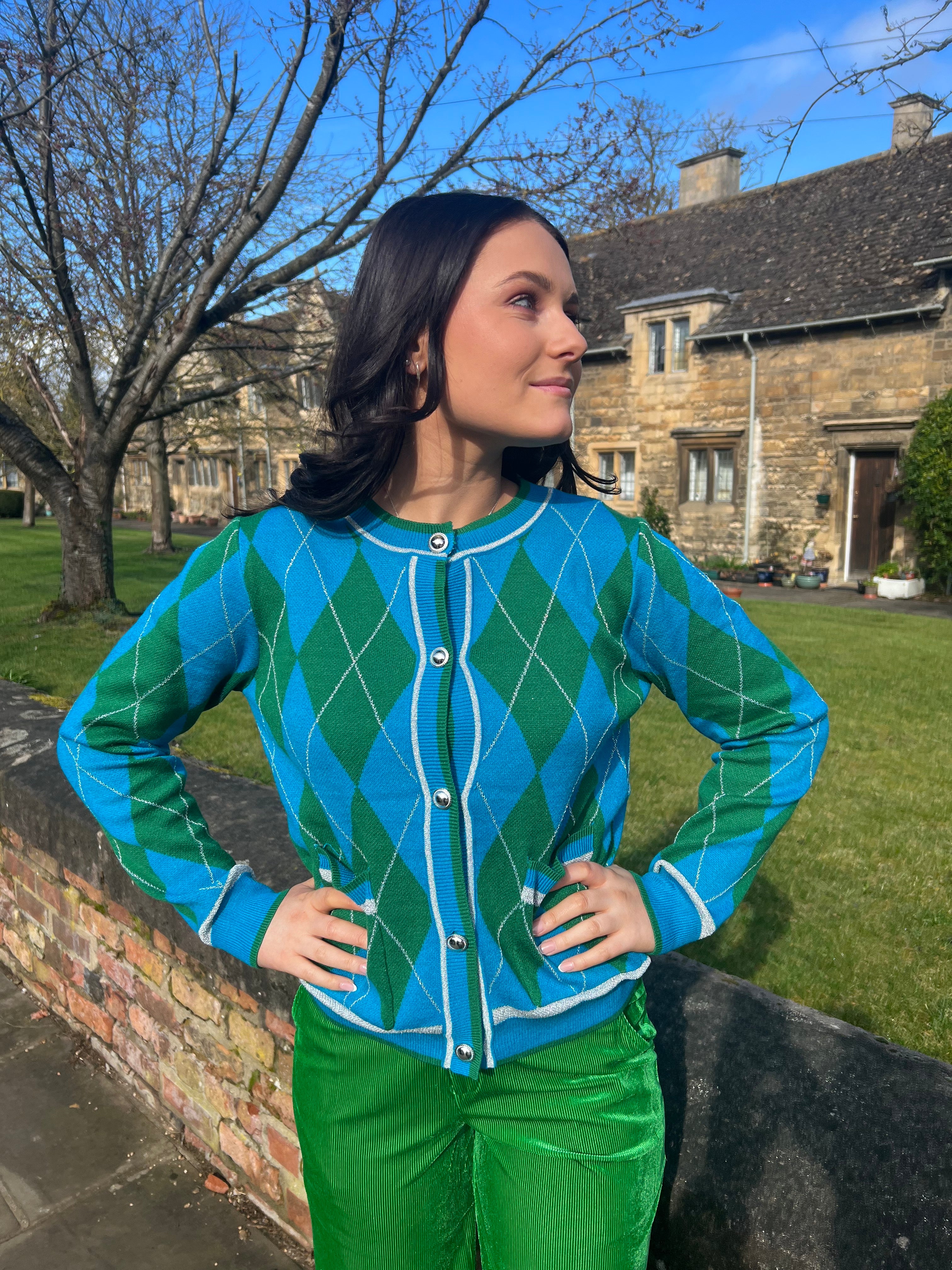 Argyle Cardigan - green and blue