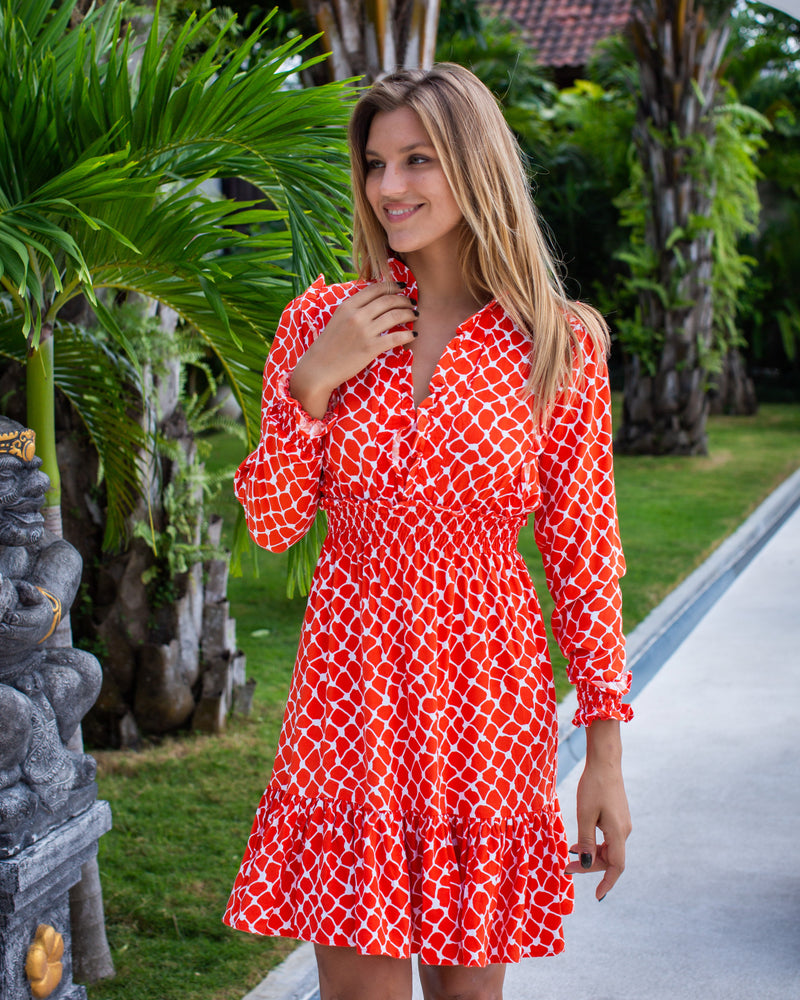 Joanne Dress - Red Net Bamboo Satin