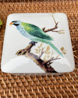 Square Jar with Green Parrot