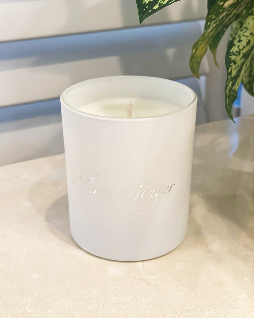 White Ginger Barbuda Candle