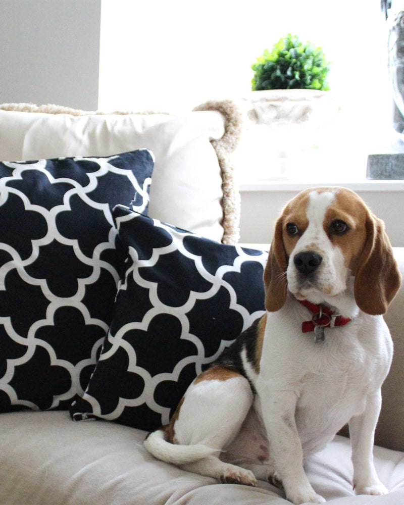 Black cotton cushion covers printed with a white clove print, featured next to a puppy.