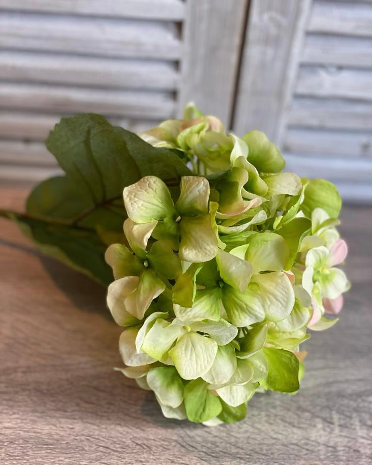 Hydrangea Stem - Green