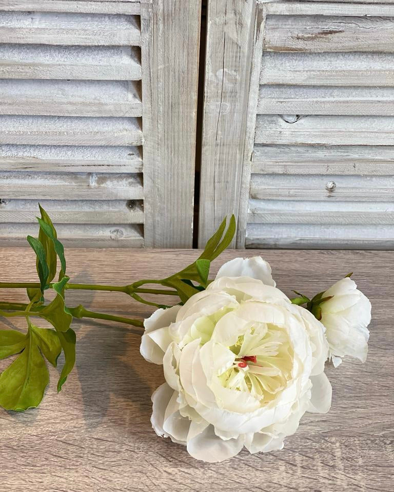 White Peony Stem - Large