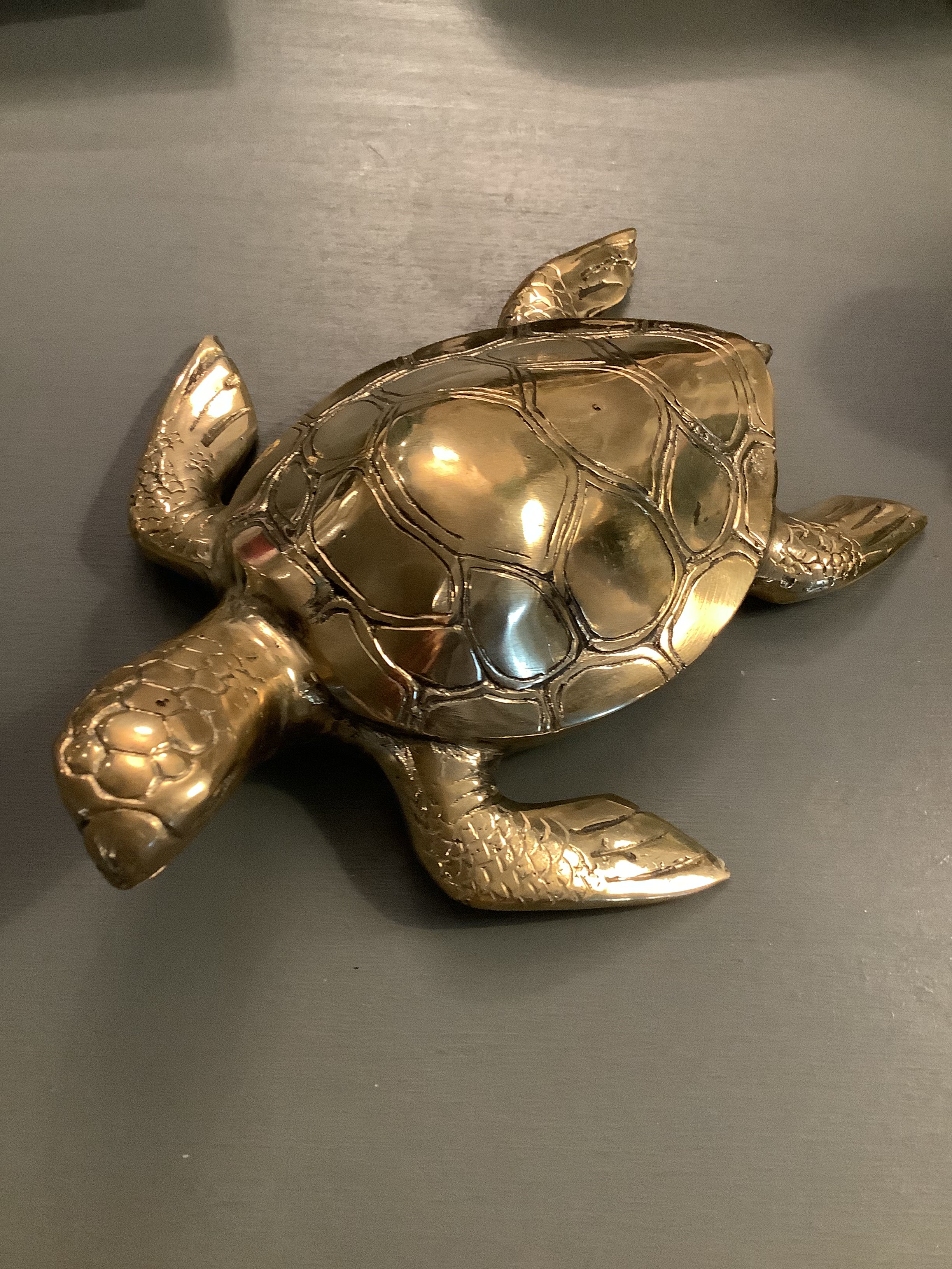 Brass Turtle