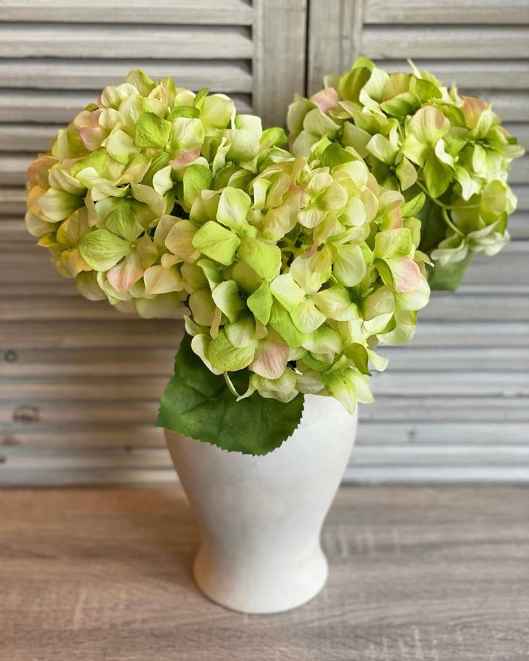 Hydrangea Stem - Green