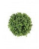 Boxwood Ball