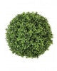 Boxwood Ball