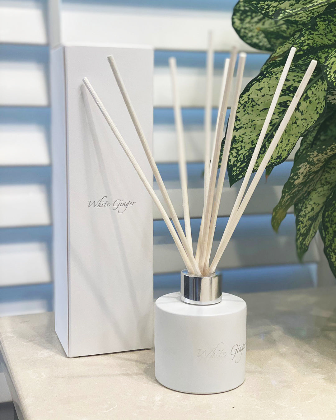 White Ginger Barbuda Diffuser