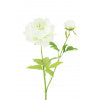 White Peony Stem - Large